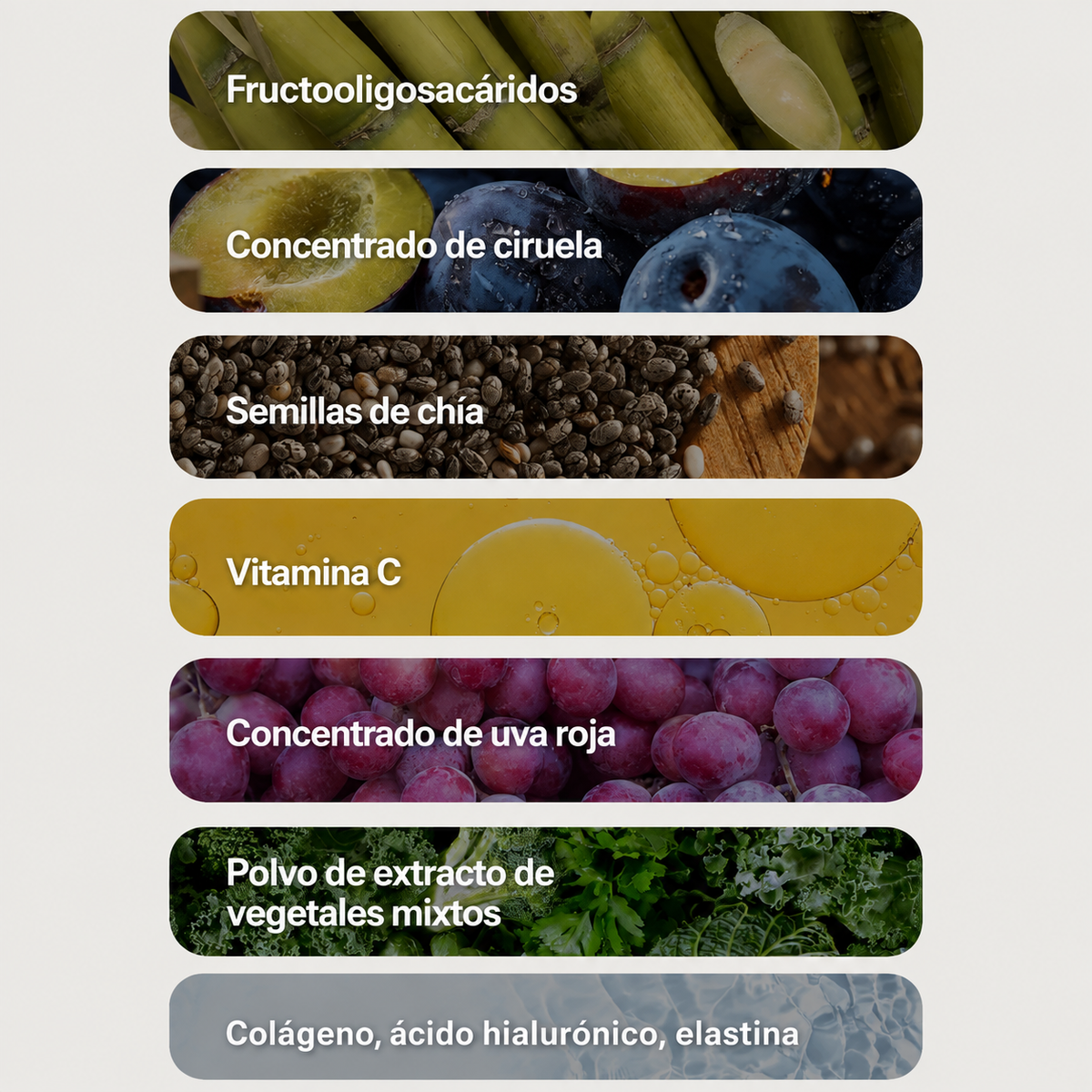 Coleology Bowel Movement Jelly - Sabor Uva - 10 Sobres